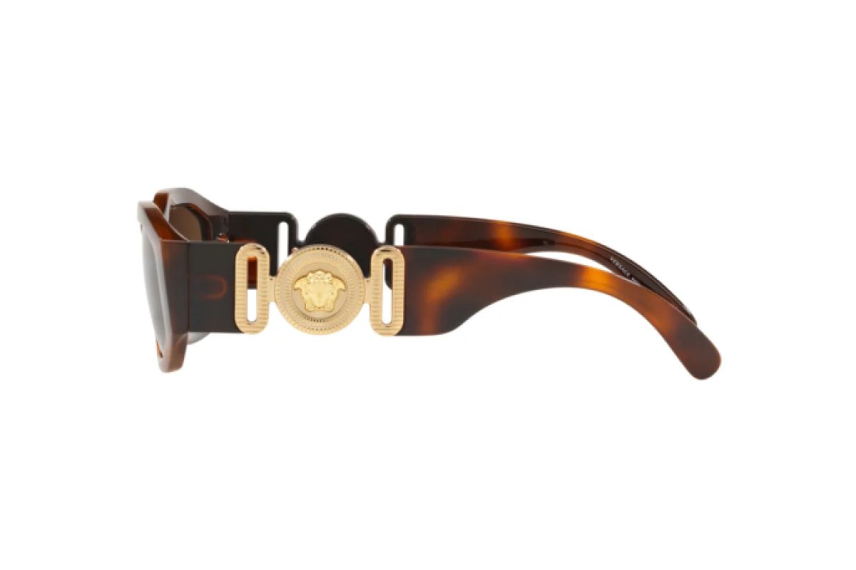 Versace Meṅdusa Biggie VE sunglasses