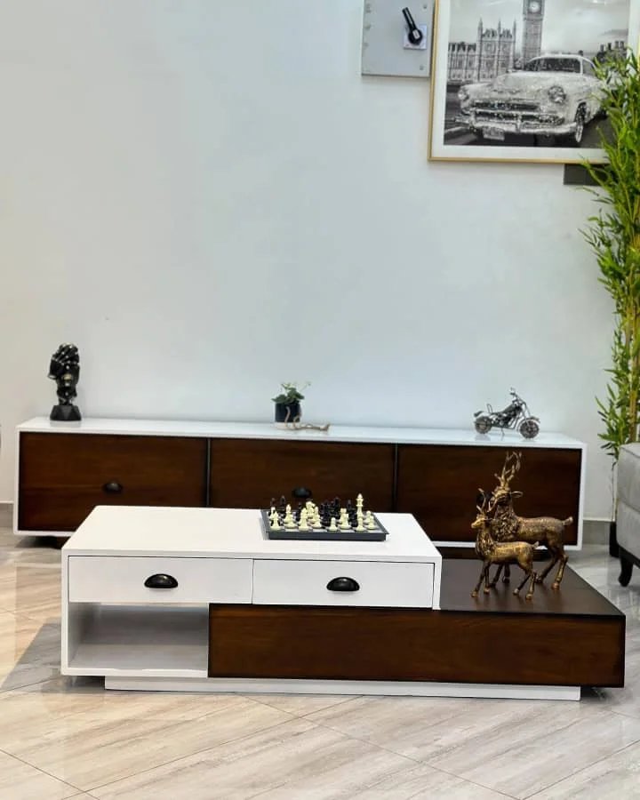 Modern Elegant Set of centre table and Tv stand